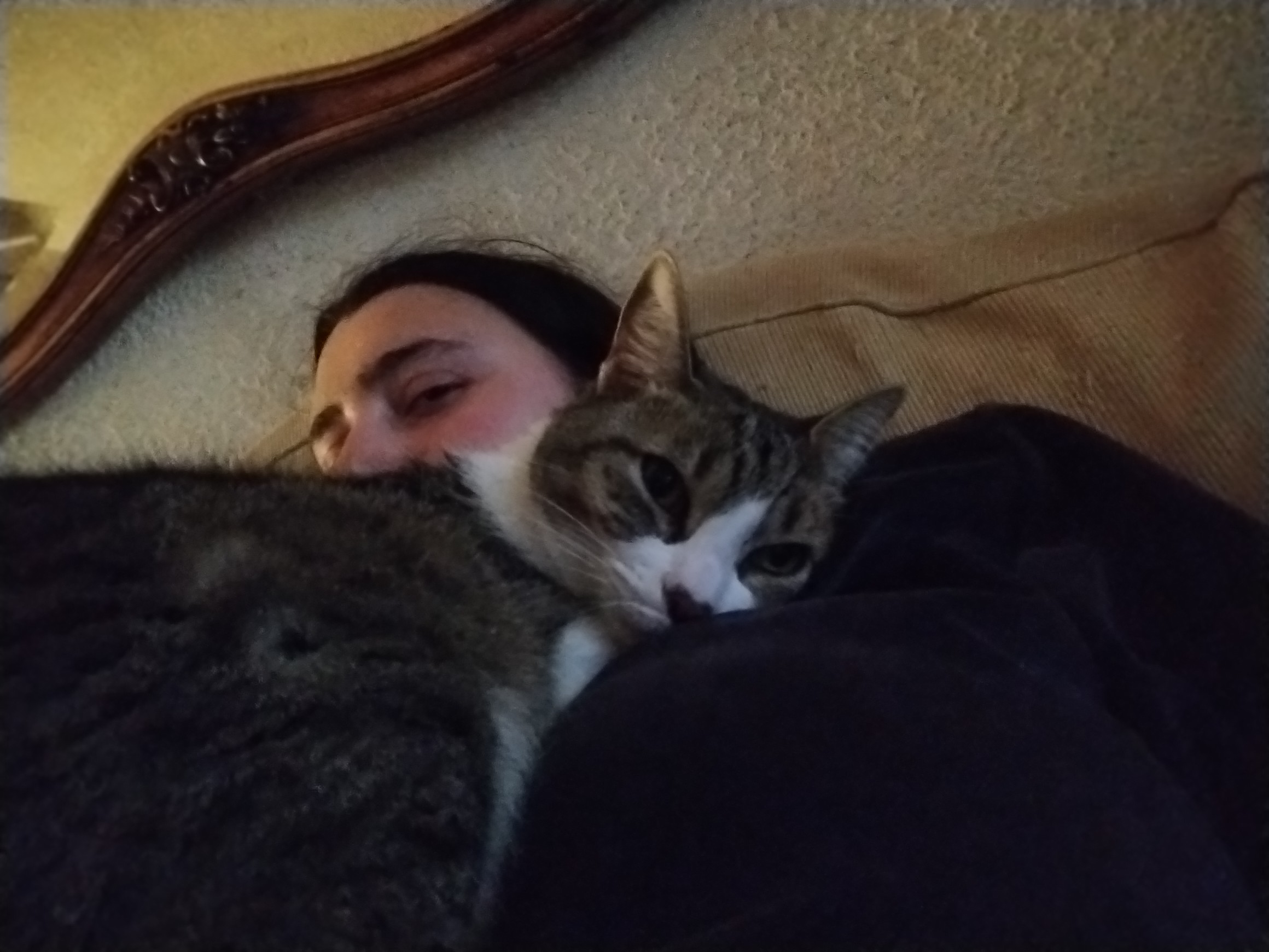 Tuni sleeping on me